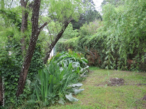 Jardín en las Yungas