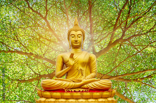 Photographie Golden Buddha image under the Bodhi leaf, natural background
