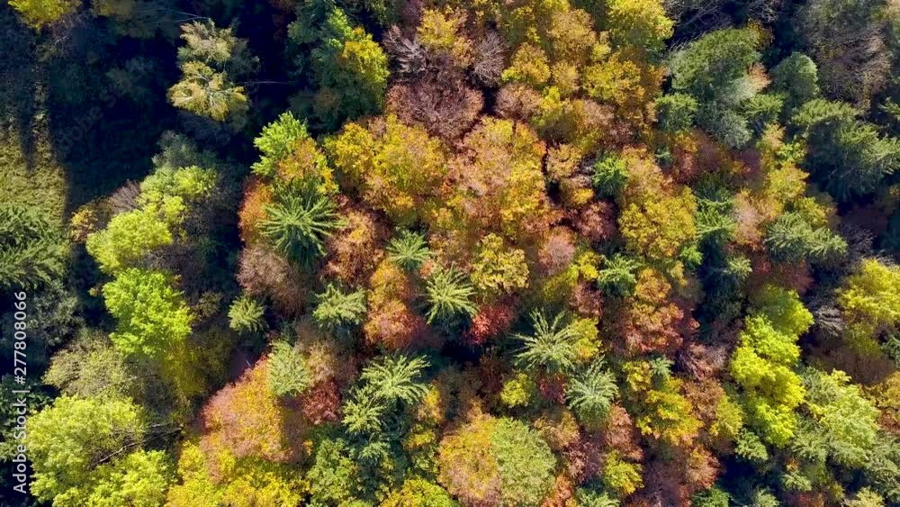 Drone shot in fall. Winter is nearly here and has started to sprinkle the mountains with a thin layer of snow which gives us a pretty awesome range of colors. Drone shot in fall. Winter is nearly here and has started to sprinkle the mountains with a thin layer of snow which gives us a pretty awesome range of colors.