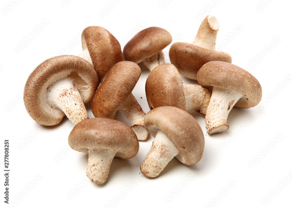 Shiitake mushroom on the White background Shiitake mushroom on the White background