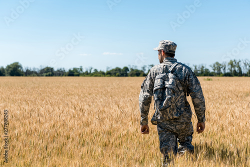military man with backpack standing in field with wheat