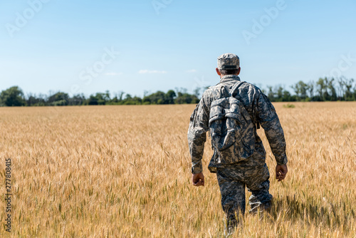 back view of military man with backpack standing in field with wheat