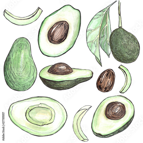 Avocado collection. Hand-drawn watercolor set of avocado fruits and seeeds on the white background. photo