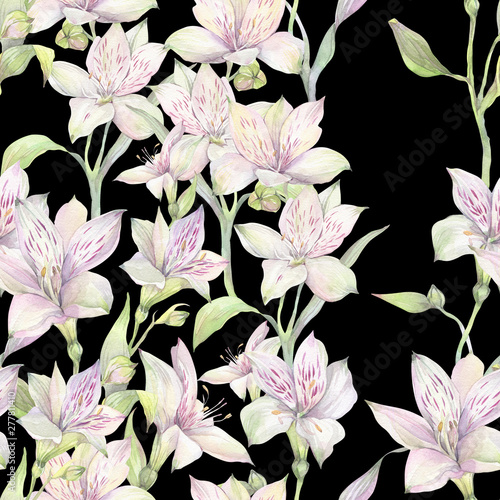 Hand painted watercolor illustration. Floral seamless pattern with white Alstroemeria flowers. 