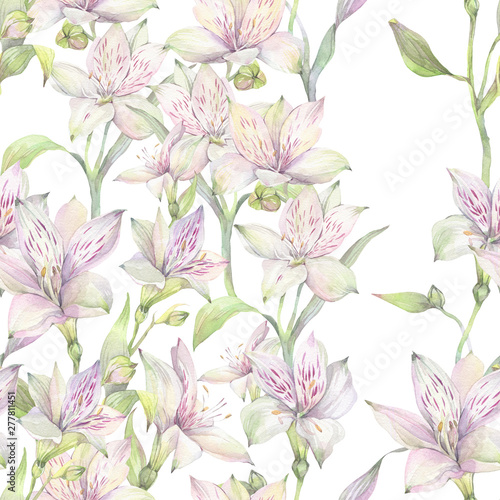 Wallpaper Mural Hand painted watercolor illustration. Floral seamless pattern with white Alstroemeria flowers.  Torontodigital.ca