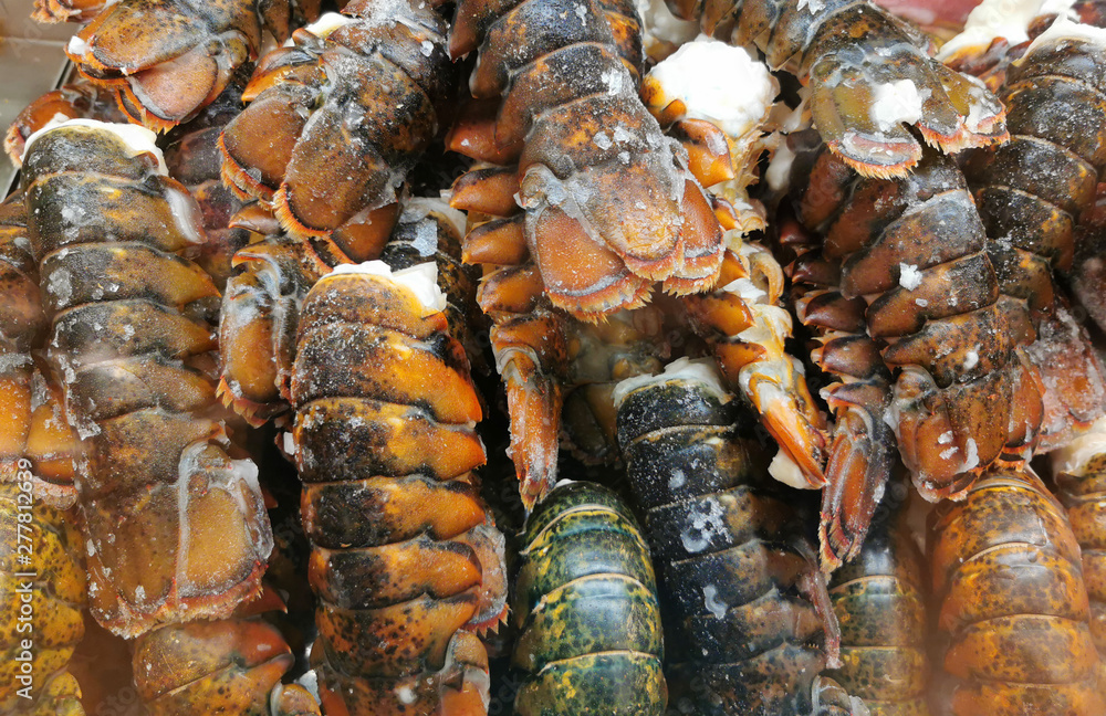 close up on frozen lobster tails for sale close up on frozen lobster tails for sale