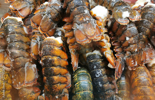close up on frozen lobster tails for sale