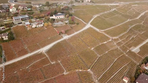 Amazing drone footage of a road traffic, houses and vineyards in Lavaux, the region near Lake Leman and Swiss Alps Mountain. A Unesco heritage site in Switzerland. Connecting roads and lots of cars.