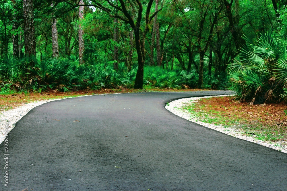 Fototapeta premium Disappearing pathway in Florida park