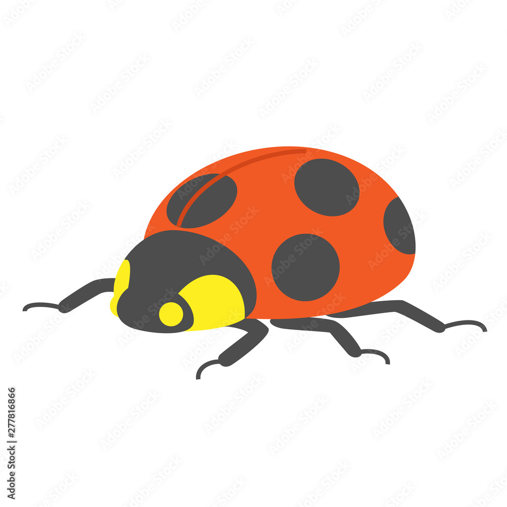 Obraz premium テントウムシ