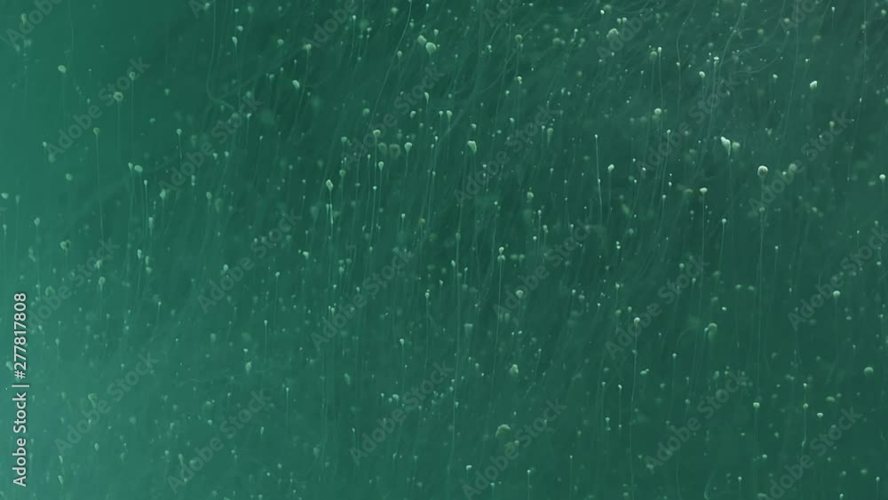 Bubbles and sediment rise slowly in mysterious green liquid Bubbles and sediment rise slowly in mysterious green liquid