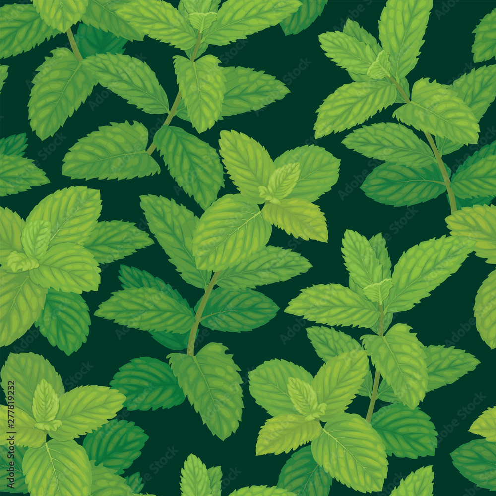 Seamless pattern of green mint leaves on background template. Vector set of herbal element for advertising, packaging design, greeting card and fashion design.