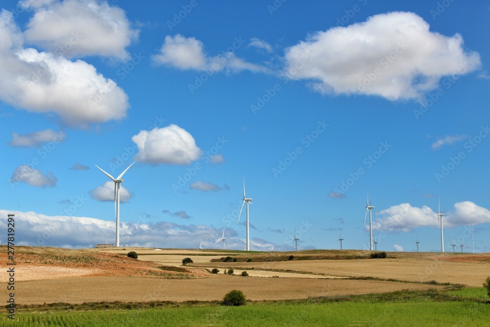 wind turbines in the field, windmills in the field, nature