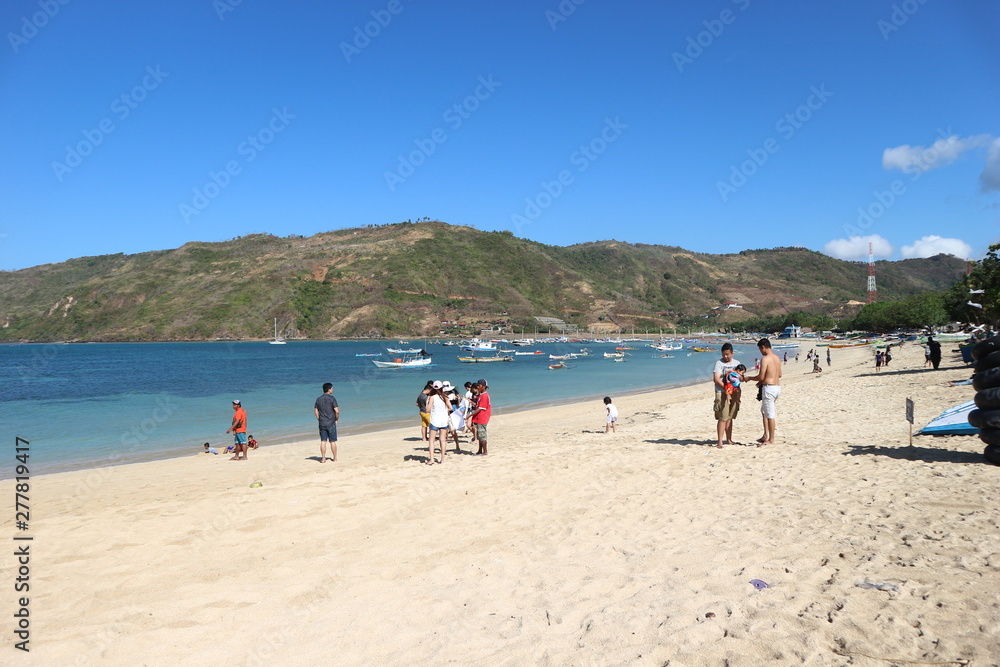 sunny day beach landscape