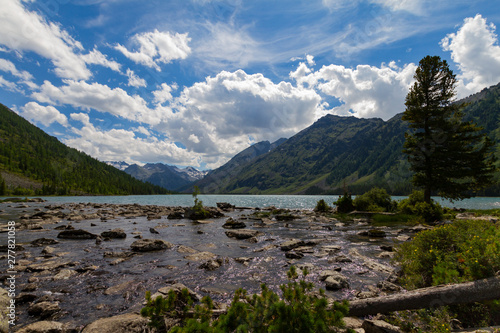 Multinsky lakes in Altai mountains. Summer landscape with coniferous tree.