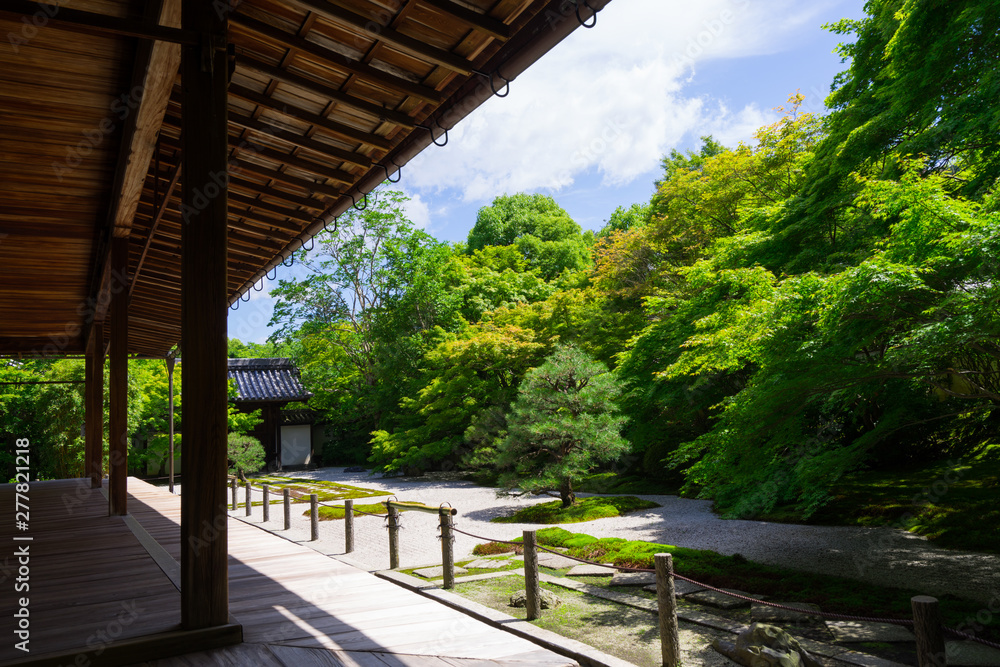 京都　南禅寺　天授庵の日本庭園　新緑