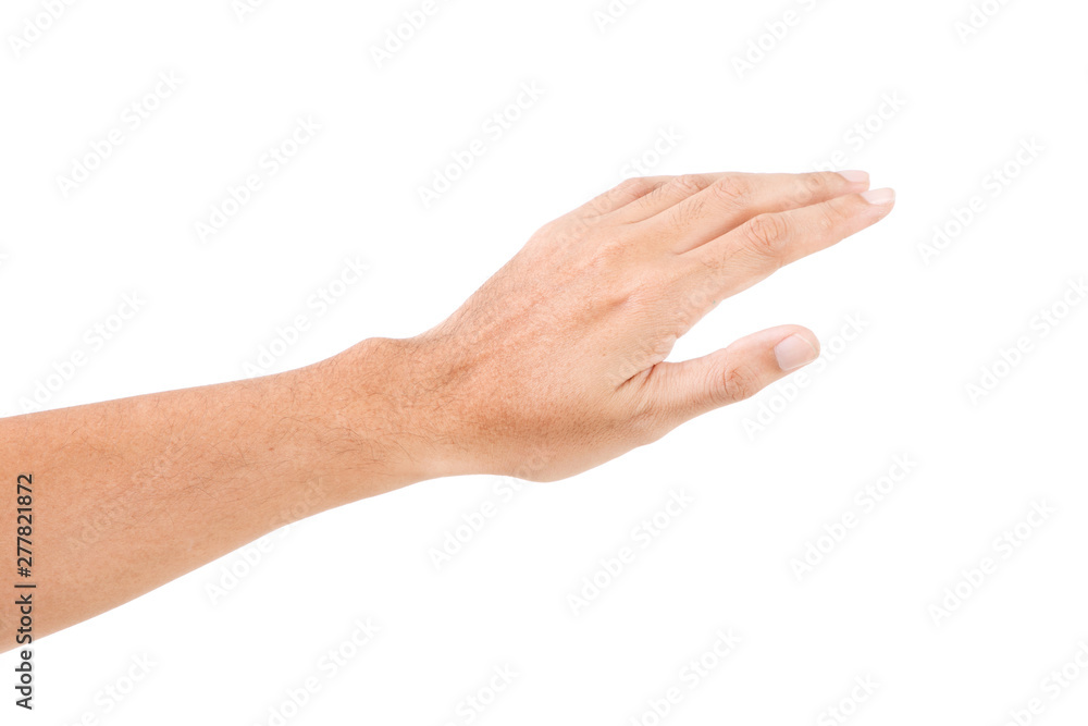 Male asian hand gestures isolated over the white background. TOUCHING POSE. Male asian hand gestures isolated over the white background. TOUCHING POSE.