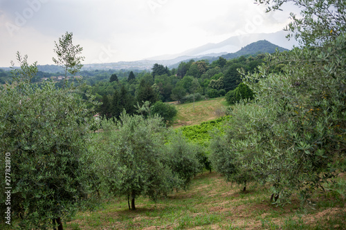 castelcucco hills