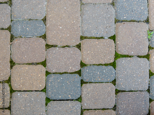 Brick Walkway with Green Moss