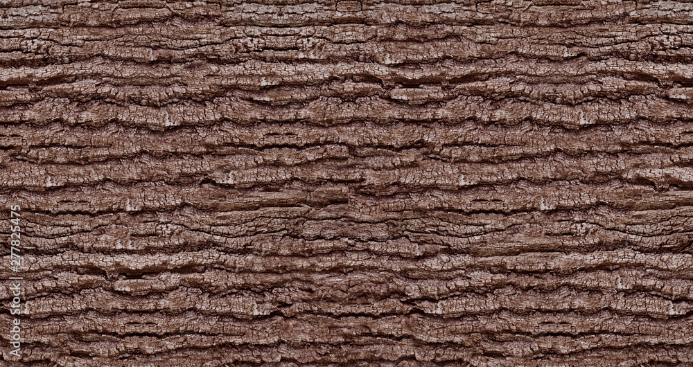 Embossed natural tree bark texture - obrazy, fototapety, plakaty 