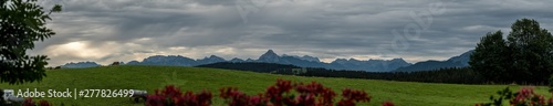 Aussicht auf die Alpen - Alpenpanorama im Allg  u - Nesselwang Urlaub