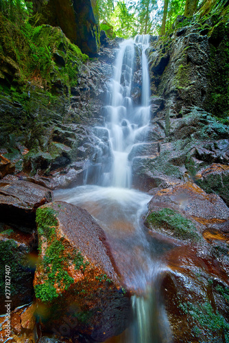 Fototapeta Naklejka Na Ścianę i Meble -  waterfall in the coniferous forest