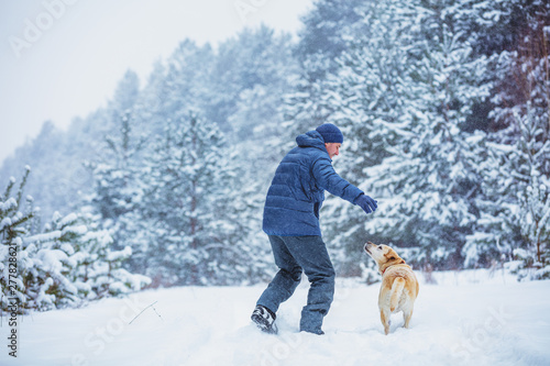 Happy man with labrador retriever dog playing in winter snowy forest