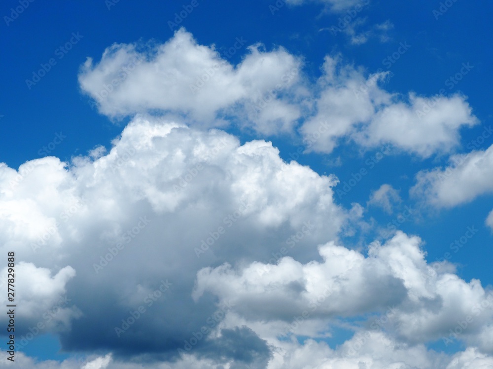 Obraz premium 青空に浮かぶ白い雲