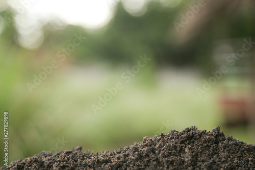 Soil texture with green background for template design © Poramet