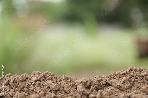 soil texture with green background for template design