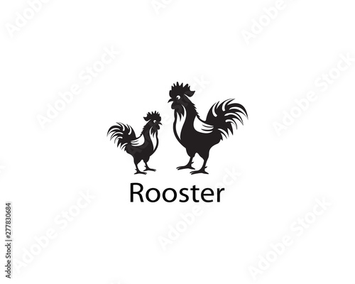 Rooster logo template vector design