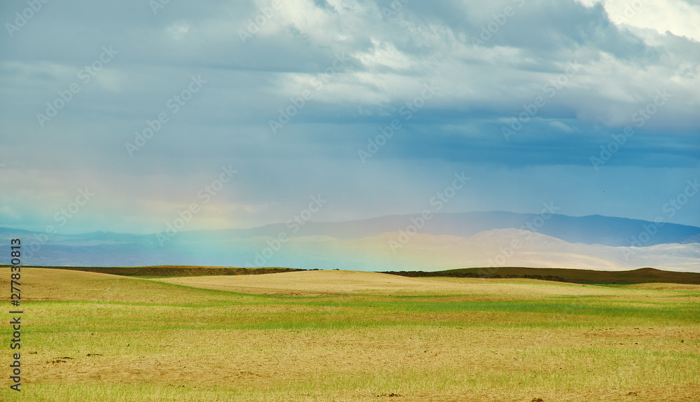 Mongolia. Sands Mongol Els Mongolia. Sands Mongol Els