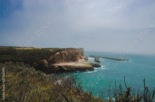 foggy view of the cliff side in Wilder Ranch State Park