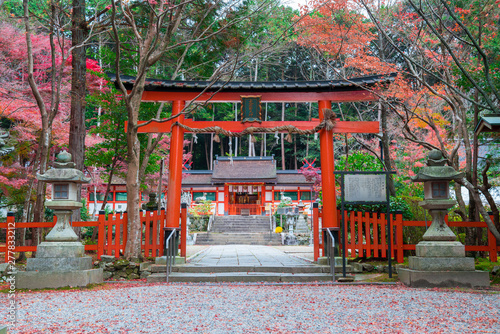 京都　大原野神社の紅葉　
