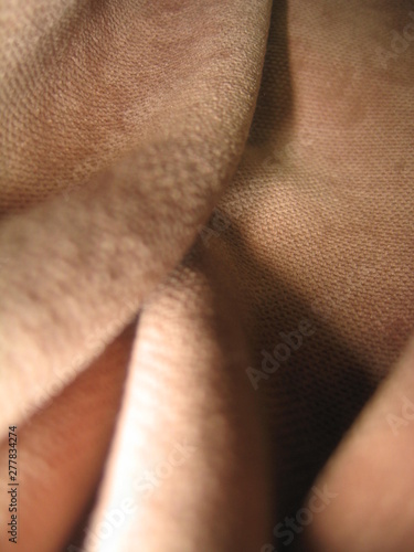 Canvas-taulu velvet body folds