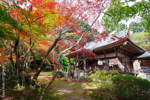 京都 勝持寺の紅葉 