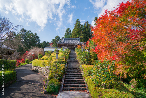 京都 善峯寺の紅葉