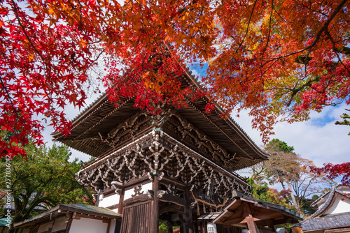 Obraz na płótnie 京都 善峯寺の山門と紅葉
