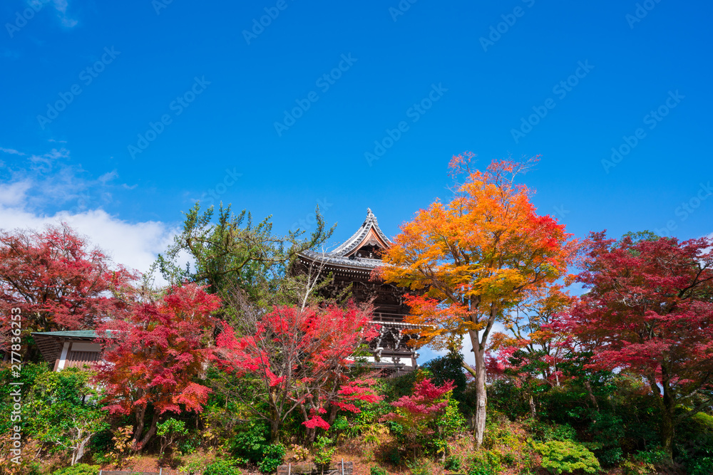京都 善峯寺の紅葉 山門 京都 善峯寺の紅葉 山門