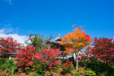 京都　善峯寺の紅葉　山門 