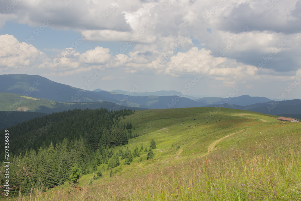 Trekking in the Carpathians, Hike to the border between Ukraine and Romania from Pop Ivan Marmarassky to Pop Ivan Chernogorsky. Trekking in the Carpathians, Hike to the border between Ukraine and Romania from Pop Ivan Marmarassky to Pop Ivan Chernogorsky.