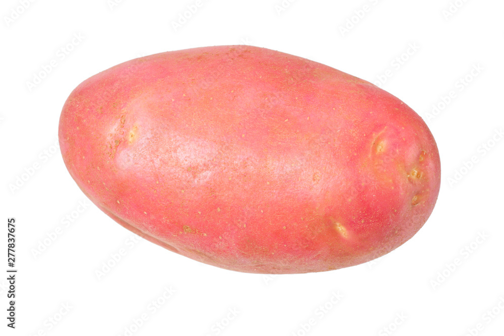 Raw red potato isolated on white background Raw red potato isolated on white background
