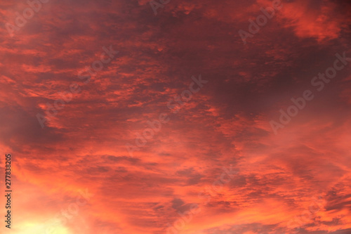 purple red alarming sunset sky with blood orange clouds and bright sunshine like fire © kittyfly