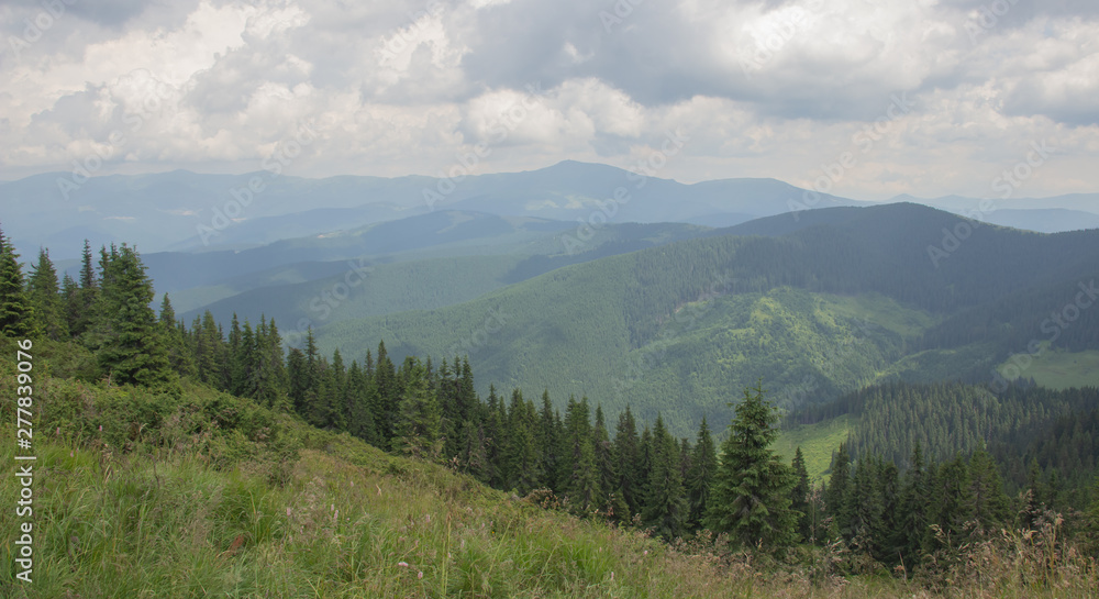 custom made wallpaper toronto digitalTrekking in the Carpathians, Hike to the border between Ukraine and Romania from Pop Ivan Marmarassky to Pop Ivan Chernogorsky.