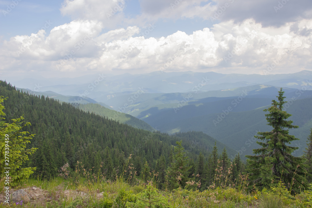 Trekking in the Carpathians, Hike to the border between Ukraine and Romania from Pop Ivan Marmarassky to Pop Ivan Chernogorsky. Trekking in the Carpathians, Hike to the border between Ukraine and Romania from Pop Ivan Marmarassky to Pop Ivan Chernogorsky.