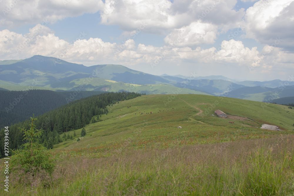 Trekking in the Carpathians, Hike to the border between Ukraine and Romania from Pop Ivan Marmarassky to Pop Ivan Chernogorsky.