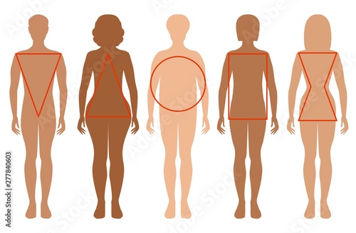 Five female silhouettes. Types of female figures