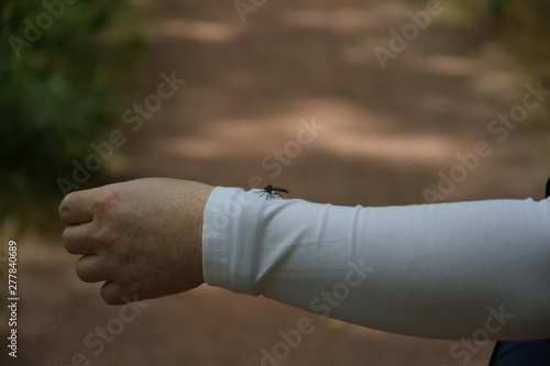 one hand of woman with white pullover insect landing on arm dragon fly