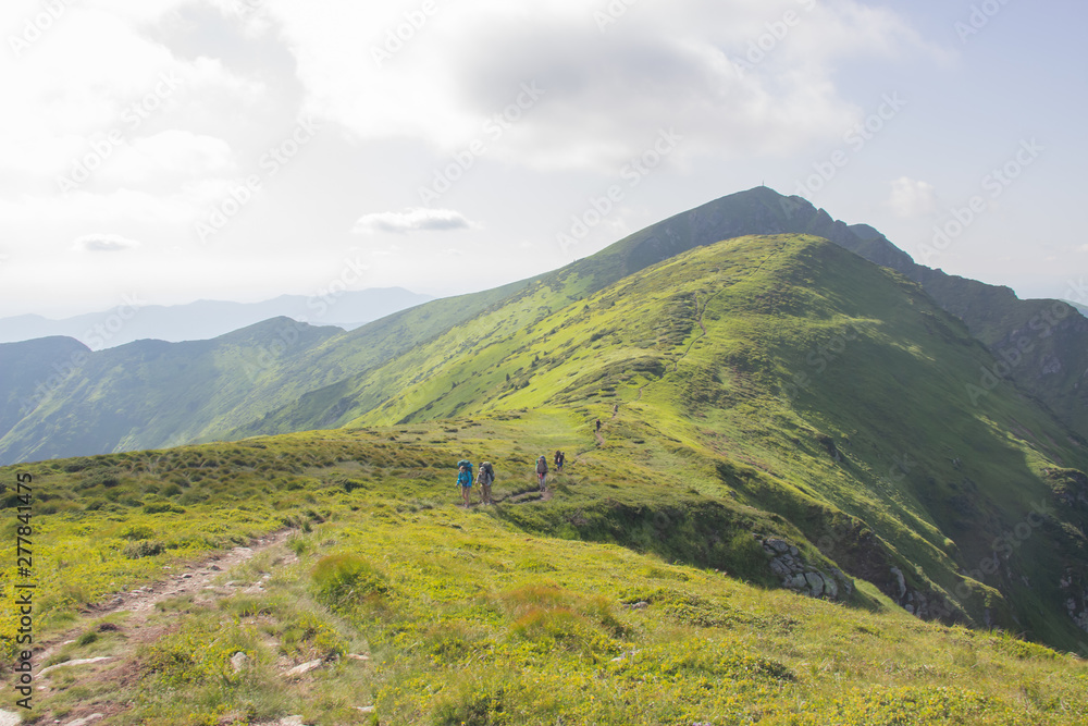 Trekking in the Carpathians, Hike to the border between Ukraine and Romania from Pop Ivan Marmarassky to Pop Ivan Chernogorsky. Trekking in the Carpathians, Hike to the border between Ukraine and Romania from Pop Ivan Marmarassky to Pop Ivan Chernogorsky.