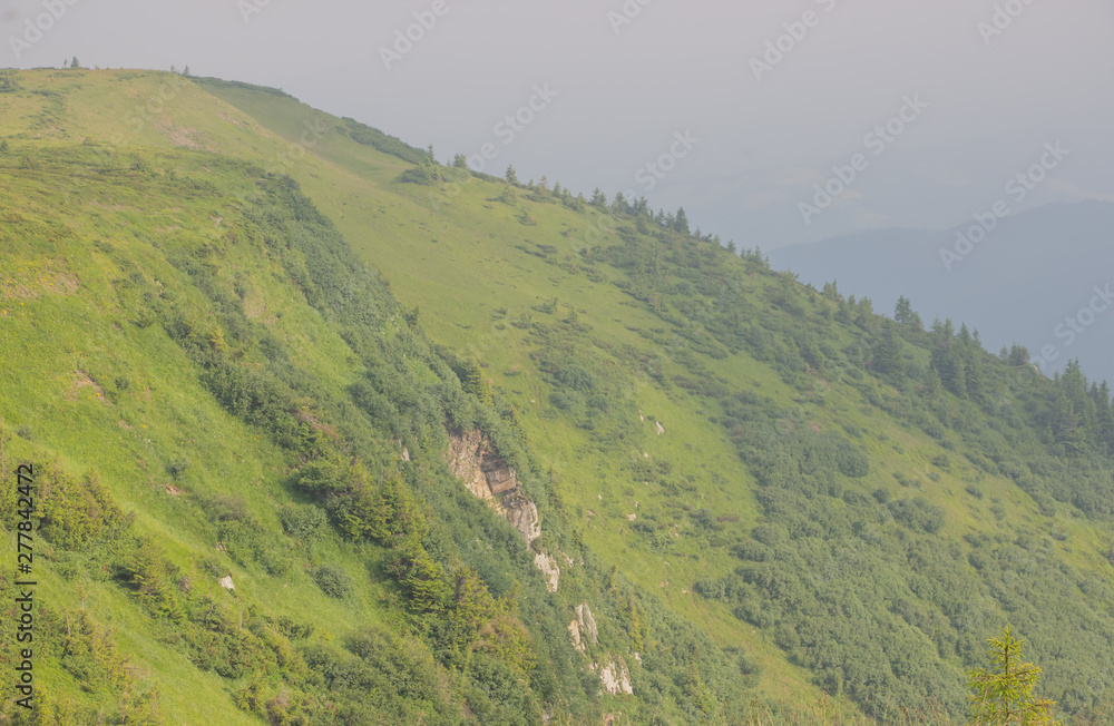 Trekking in the Carpathians, Hike to the border between Ukraine and Romania from Pop Ivan Marmarassky to Pop Ivan Chernogorsky.